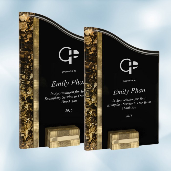SunRay Gold/ Black Acrylic Award